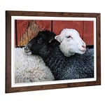 Big Box Art Framed Print of Black and White Sheep (2) Design | Wall Art Picture | Home Decor for Kitchen, Living, Dining Room, Bedroom, Hallway, Office, Walnut, A2 / 24.5x18 Inch / 62x45cm