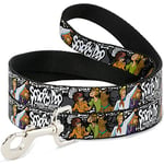 Buckle-Down Scooby Doo Laisse pour Chien Motif os 1,8 m de Long 2,5 cm de Large