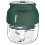 Electric Garlic Chopper, Pumuky Mini Food Chopper, Electric Garlic Mincer, for Chop Onion Vegetable Ginger Chili Spice, Baby Food Processor, BPA Free, Easy to Clean (250ml) - Green