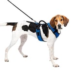 PetSafe - Harnais pour Chien EasySport avec Poignée de Contrôle, Réfléchissant, Ajustable Confortable, Rembourré – Bleu, L