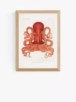 EAST END PRINTS Natural History Museum 'Octopus' Framed Print