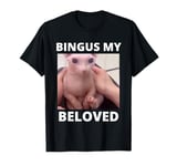 Funny Bingus My Beloved Hairless Sphinx Cat Bingus Cat Meme T-Shirt