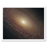 Hubble Space Telescope Image Spiral Galaxy NGC 2841 Blue Pink Emission Nebula Starbirth Region And A Majestic Disk Of Stars And Dust Lanes Art Print F