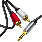 3.5 mm to 2RCA Cable,Yeung Qee RCA Cable Dual Shielded Gold-Plated 3.5mm Male to 2RCA Male Stereo Audio Y Cable Splitter Stereo Audio Cable (3m/10ft)