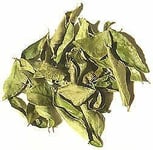 DRIED CURRY LEAVES 50g EXTRA LARGE BAG, INDIAN SPICE / SEASONING SUPER QUALITY