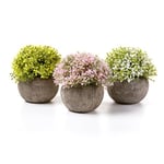 T4U Lot de 3 Plantes artificielles en Pot, Plantes succulentes artificielles, Banc de fenêtre de Bureau, Décoration de Salle de Bain, Bonsaï, Décoration de Chambre, Cadeau pour Mariage