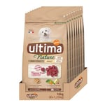 Ultima Nature Croquettes pour Chien Mini Adulte à l'Agneau: Pack 8 x 1.25 kg - Total: 10 kg