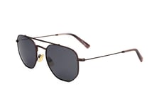 Lunettes de Soleil Tonino Lamborghini TL331S S02 BROWN 54/21/ Homme