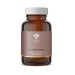 Grateful Nature Gurkemeie Urteformel Ayurvediske urter fra - 120 kapsler