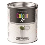 Paint Factory Brilliant White Gloss Tin Paint Fast Dry Interior Exterior 300ml