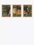 EAST END PRINTS Natural History Museum 'Tiger' Framed Print, Set of 3