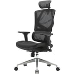 HHG - sihoo chaise de bureau chaise de bureau ergonomique, soutien lombaire dossier haut accoudoirs 3D, mesh noir