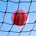 Cricket Netting – 50 (24hr Shipping) [Net World Sports] Backstop/Ball Stop/Surround/Sports Nets (4 x 100)