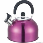 2.5L STAINLESS STEEL WHISTLING KETTLE GAS ELECTRIC INDUCTION HOBS CAMPING Purple