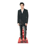 STAR CUTOUTS CS910 Small Cardboard Cutout l Harry l Singer Styles l Red Shoes l Music Theme Party Decoration l Gifts for Fans, Birthdays & The Home, Multicolour