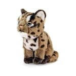 Real Stuffed Iriomote wild cat Baby COLORATA Plush animal doll w/Tracking# J FS