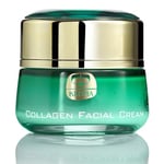 Kedma - Crème Visage au Collagène et Minéraux de la Mer Morte - Anti-Âge et Nourrissante - Pour Tous Types de Peau - 50g