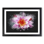 Big Box Art Pink Water Lily Flower Vol.4 Paint Splash Framed Wall Art Picture Print Ready to Hang, Black A2 (62 x 45 cm)