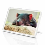 1 x Sleepy Tasmanian Devil Animal Classic Fridge Magnet - Kitchen #2202