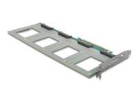 Delock - Lagringskontroller - Bifurcation, 288 X 122 Mm - U.2 Nvme - Pcie 4.0 X16