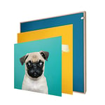 INFORMA Cadre photo LED aspect bois - 3 changements de cadre photo - Motif chiens - Sans cadre - 50 x 50 cm - 27 LED - Motifs interchangeables avec impression directe UV