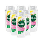 Radox Moisturising Shower Gel Chamomile & Oat 225ML x 6