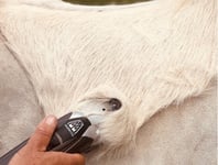 Masterclip Variable Speed V-Series Horse Clippers 🐴 The Professionals Choice 🐴