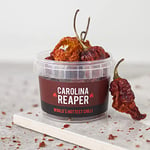 Spicentice Carolina Reaper Chilli Pot - World's Hottest Chilli - 100% Natural