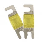 GAS MAD AFS/Mini-ANL-säkring, 2-pack 100A