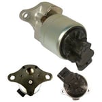 EGR ventil Delphi - Peugeot - Expert, 407, 406, 807, 806. Citroen - C5, C8, Evasion. Fiat - Scudo, Ulysse