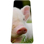 Yoga Mat - Pig lying on the grass - Extra Thick Non Slip Exercise & Fitness Mat for All Types of Yoga,Pilates & Floor Workouts