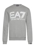 EA7 Sweatshirt Grå