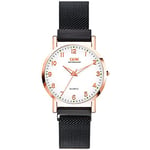 Basfur Dress Watch Fe-Montre-062-01