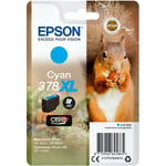 Epson - Squirrel Singlepack Cyan 378XL Claria Photo hd Ink - Original - Cyan - Expression Photo XP-8500 - Expression Photo hd XP-15000 - 1 pièce(s)