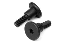 Step Torx Screw M6X23Mm (2Pcs)