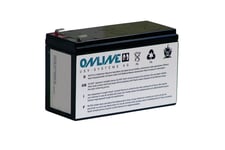 Online USV BCZ1000 - UPS-batteri