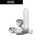 Aquarium-Régulateur de CO2 avec clapet anti-retour,kit de système de contrôle d'électrovanne,réduction de pression,compteur de bulles - Type R102-M22-AC100-240V