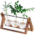 Support en bois, vase de bureau en verre avec support rétro en bois massif et support pivotant en métal pour plantes hydroponiques, maison, jardin,