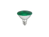 PAR-30 230V SMD 11W E-27 LED green