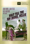 Wait Till The Sun Shines Nellie DVD