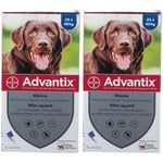 Advantix Grand chien de 25 kg - 40 Pipette(S) Unidose(S) 2x4 pc(s)