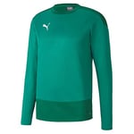 Puma teamGOAL 23 Training Sweat Pull Homme, Pepper Green-Power Green, FR : L (Taille Fabricant : L)