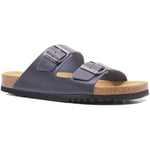 Sandales Scholl Homme  Scholl mules