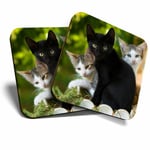 2 x Coasters - Cute Kittens Black Tabby Ginger Cat Home Gift #24573