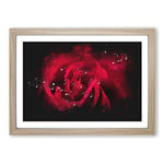 Big Box Art Drops Upon a Red Rose Paint Splash Framed Wall Art Picture Print Ready to Hang, Oak A2 (62 x 45 cm)