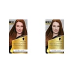 Schwarzkopf – Oleo Suprême – Coloration Permanente à l’Huile – Couleur et Eclat Longue Durée – sans Ammoniaque – Couvre 100% des Cheveux Blancs – HaptIQ Système – Cuivré Profond 6-76 (Lot de 2)