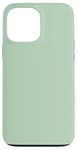 Coque pour iPhone 13 Pro Max Couleur menthe vert clair simple