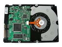 Dell - Hårddisk - 1 Tb - Intern - 3,5" - Sata 1.5Gb/S - 7200 Rpm - Istandsat - För Poweredge 1900, 1950, 2900, 2950 Iii, 840, 860, Sc1430 (3,5"), Sc1435 (3,5"), Sc440 (3,5")