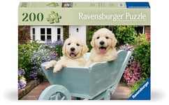 Ravensburger Golden Retriever-12001368-Puzzle Personnes âgées-avec 200 pièces Extra adhérentes-Grand modèle d'image et Support pour Puzzle, 12001368