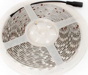 Led Abilite Smd5050 5M 60Szt./M 40W/M 12V (5901583544286)